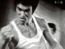 brucelee.jpg(3389 byte)