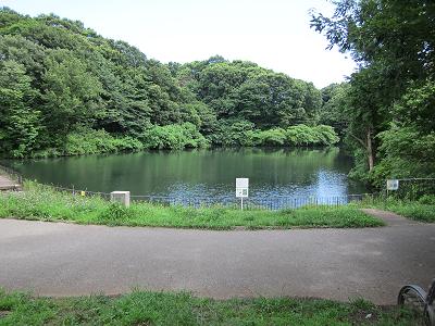 nagaike02.jpg(47983 byte)