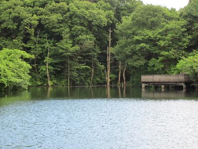 nagaike04.jpg(46987 byte)