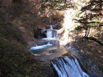 nisizawa201003.jpg(62296 byte)