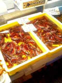 sendai05.jpg(28229 byte)