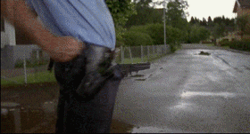 magnum01.gif(203461 byte)